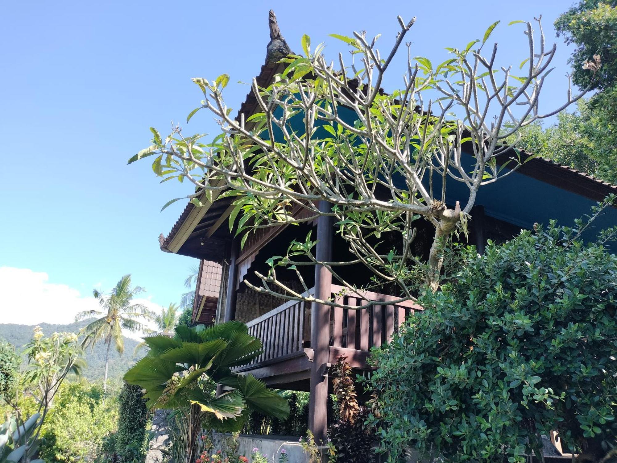 D'Kailash Retreat 新加拉惹 外观 照片
